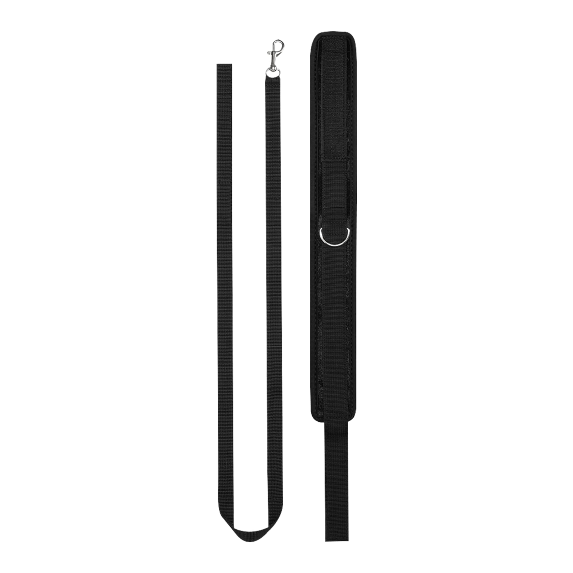 'Velvet Collar with Leash'