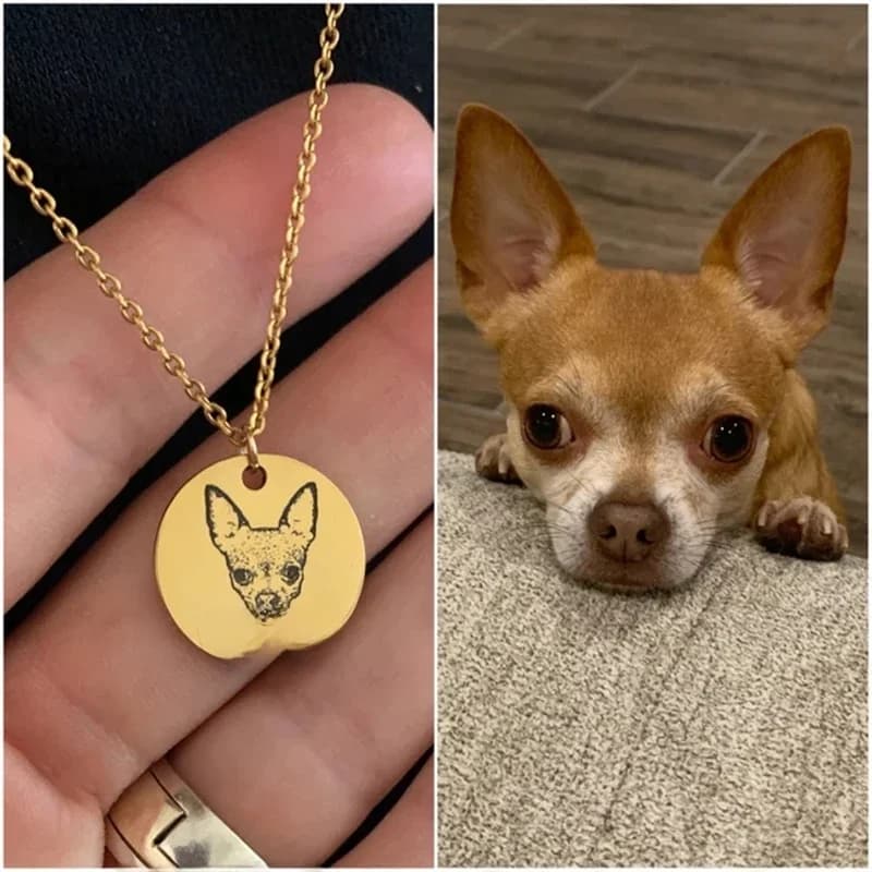 Gepersonaliseerde huisdier foto schijf ketting voor vrouwen kleine kat hond naam hanger kettingen aangepaste dier 316L roestvrijstalen sieraden