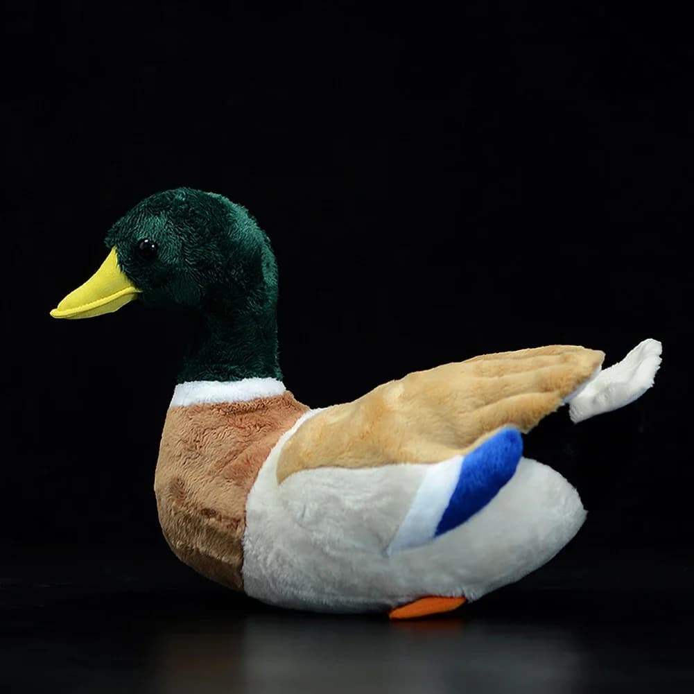 Leuke Mallard Knuffels Zachte Gemeenschappelijke Mallard Eend Realistische Dieren Pop Simulatie Anas Platyrhynchos Model Meisje Gift