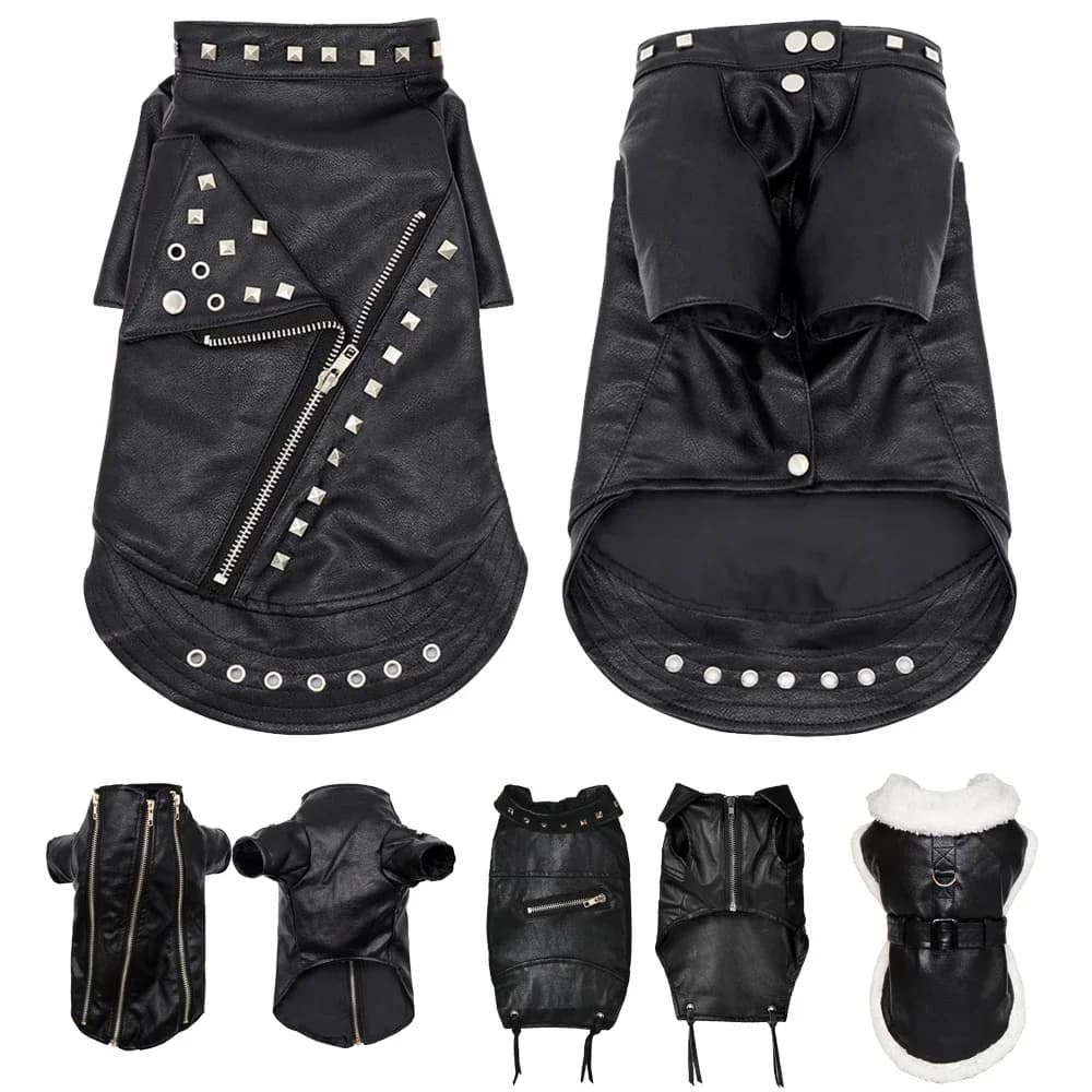 Coole leren hondenjas, warme winterkleding voor huisdieren, outfit, Franse Bulldog-kleding, jassen voor kleine, middelgrote honden
