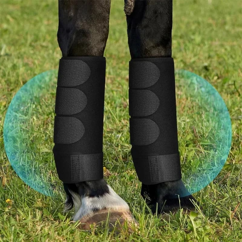 2 STUKS Paardenleggings Anti-botsing Paardensport Uitrusting Duikmateriaal Zacht en schokabsorberend