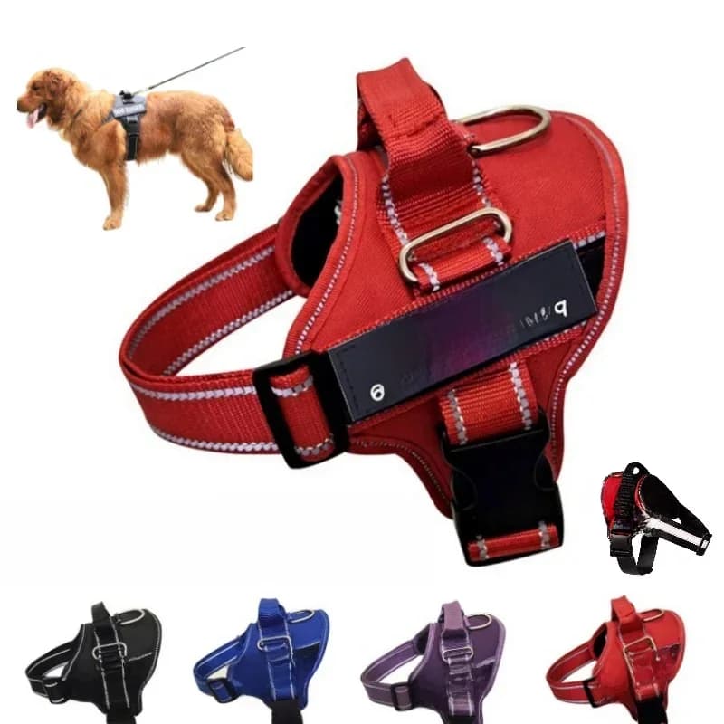 Op Maat Gemaakt Hondentuig Gepersonaliseerd Reflecterend Harnas Voor Kleine Middelgrote Grote Honden Ademende Mesh Pad Hond Harnas Geen Trek