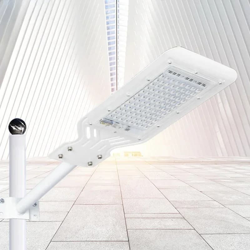 Led Straatverlichting 100W Waterdicht Ip65 Outdoor Schijnwerper Aca 110V 220V Spotlight Tuin Straat Pad Pole Lights Muur Licht