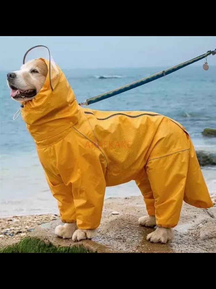Hond, grote hond, middelgrote tot grote hond, goudharige Samojeed, Alaska, all-inclusive regenjas, tas met capuchon, staartregenkleding