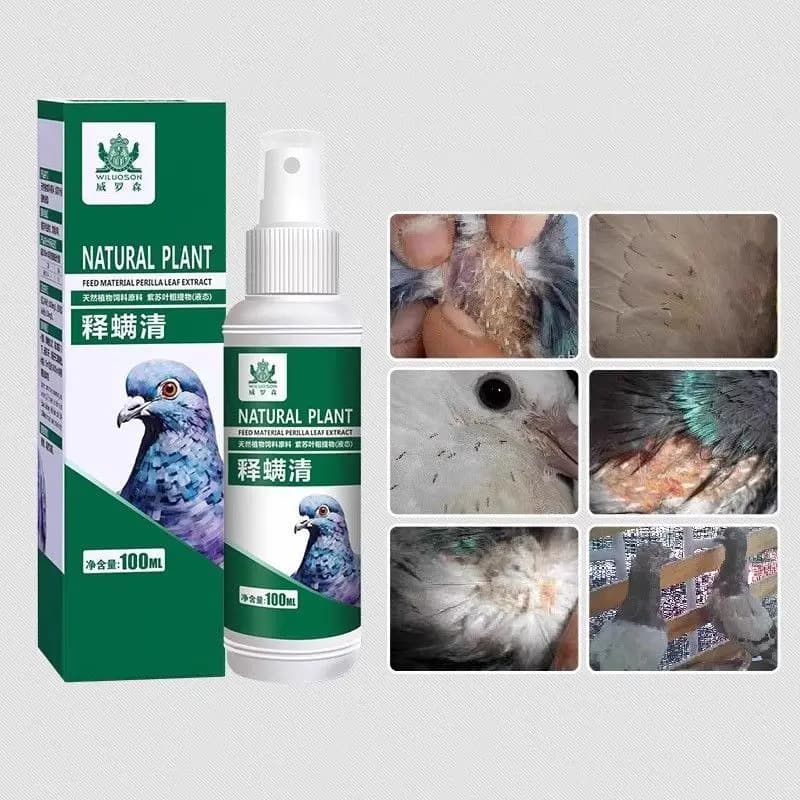 Spray om duivenluizen, mijten, mijten, mijten, mijten, mijten, mijten, mijten, mijten en mijten te verwijderen