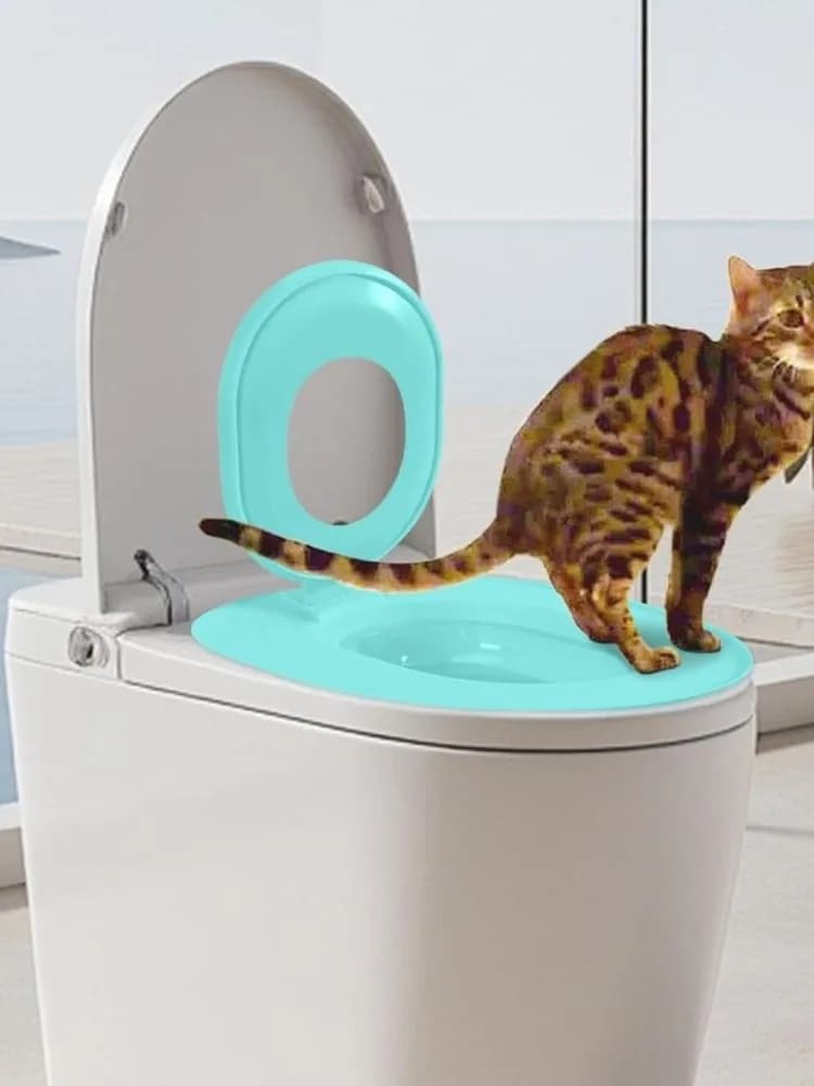 Kattentoilettrainingssysteem Kattentoilettrainingsset Leer in gebruik Herbruikbare kattentoiletbril Trainingsset Trainingsstoelhulpmiddel