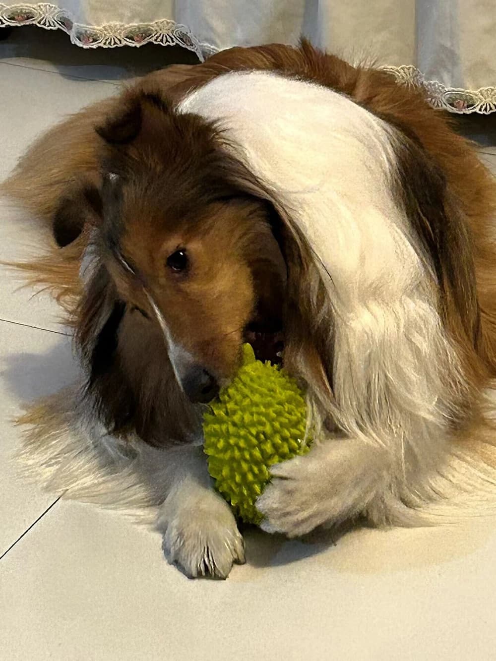2/3 Stuks Hoge Kwaliteit Gesimuleerd Fruit Huisdier Piepend Speelgoed Voor Kleine Middelgrote Honden Bijtbestendige Puppy Hond Kauw Speelgoed
