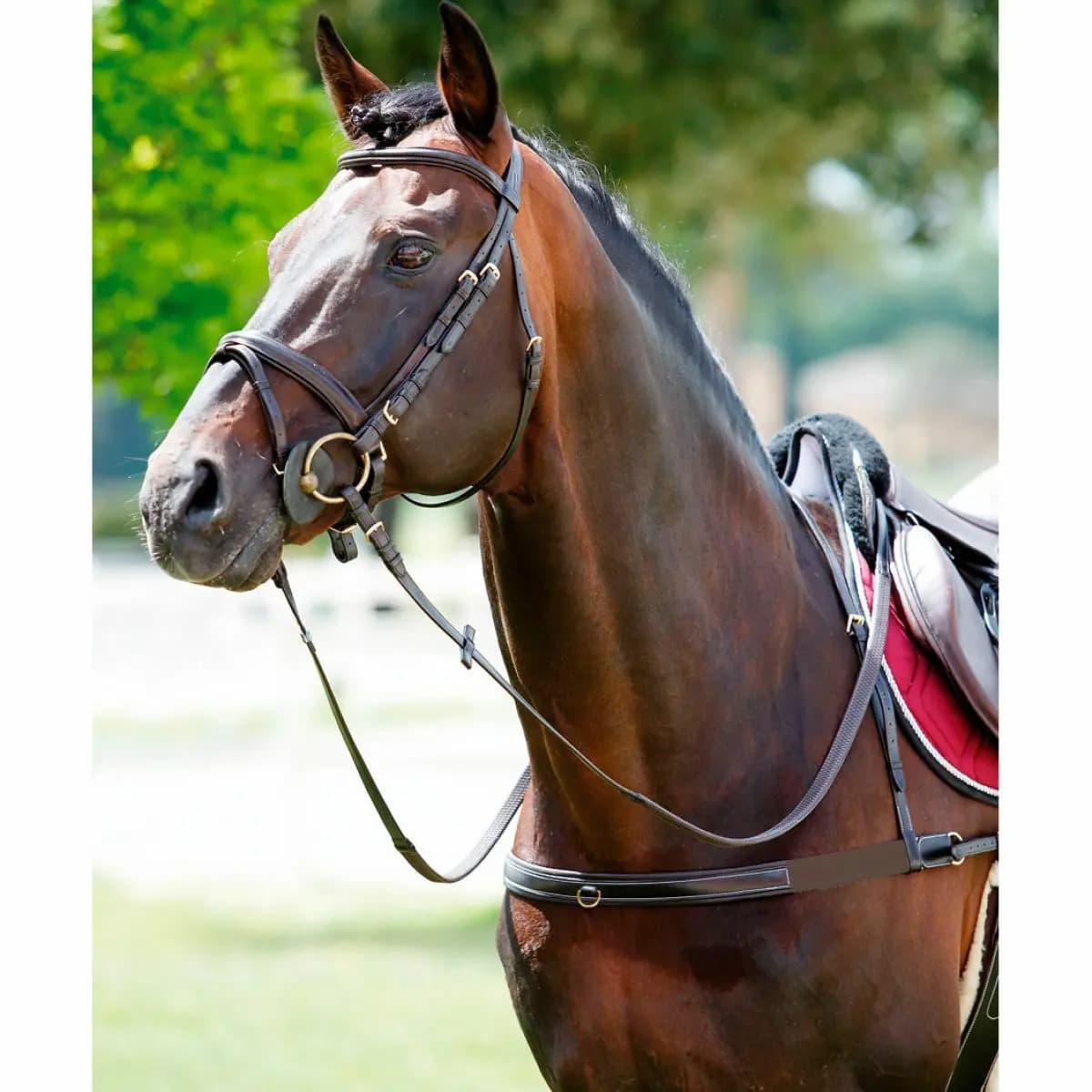 Elastische paardenkraag met afneembare hals Tattini