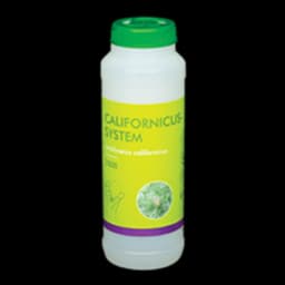 Brimex BioBest Brimex BioBest - Amblyseius Californicus (Preventief)