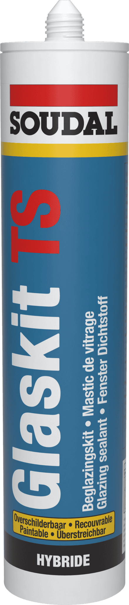 290 ml overschilderbare Glaskit TS in koker (15 stuks)