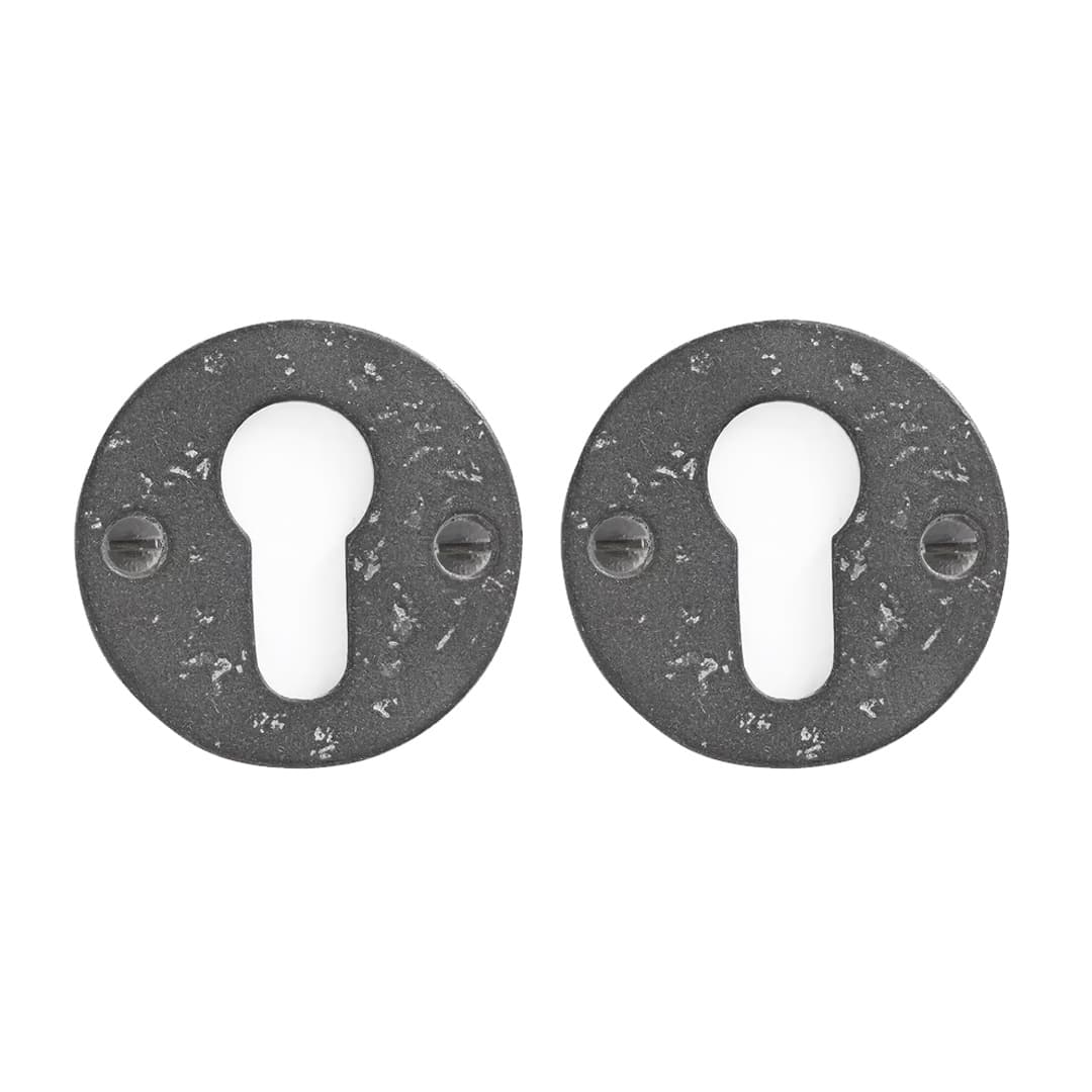 Dauby Pure PZ cilinderrozet 50F – ruw metaal (RM)