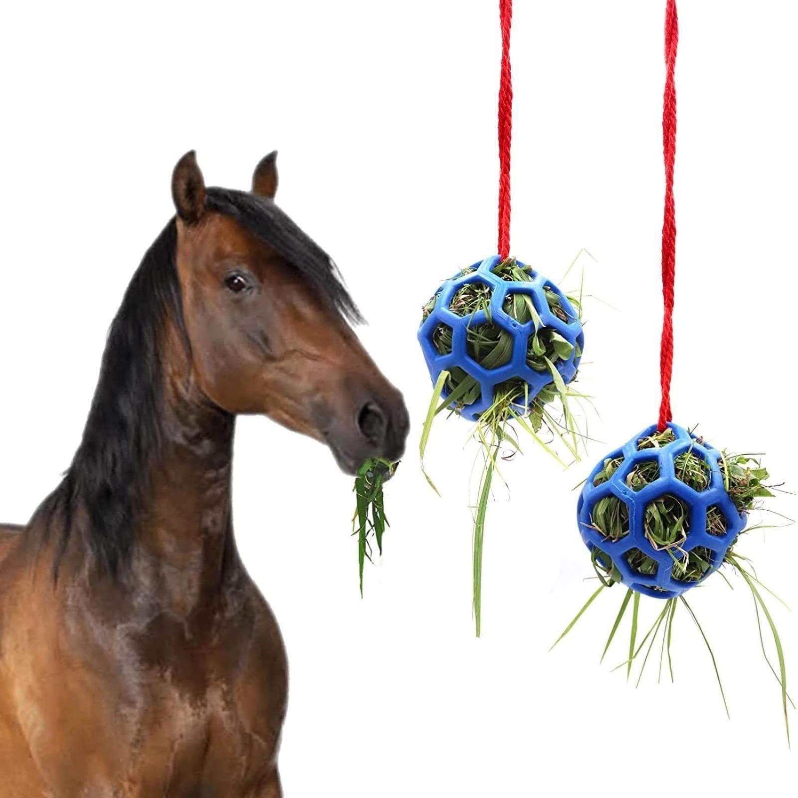 Paard Traktatiebal Hooivoeder Speelgoed, Geiten Voerbal Hangend Voeder Speelgoed voor Paard Geit Schaap Stress Verlichten blauw