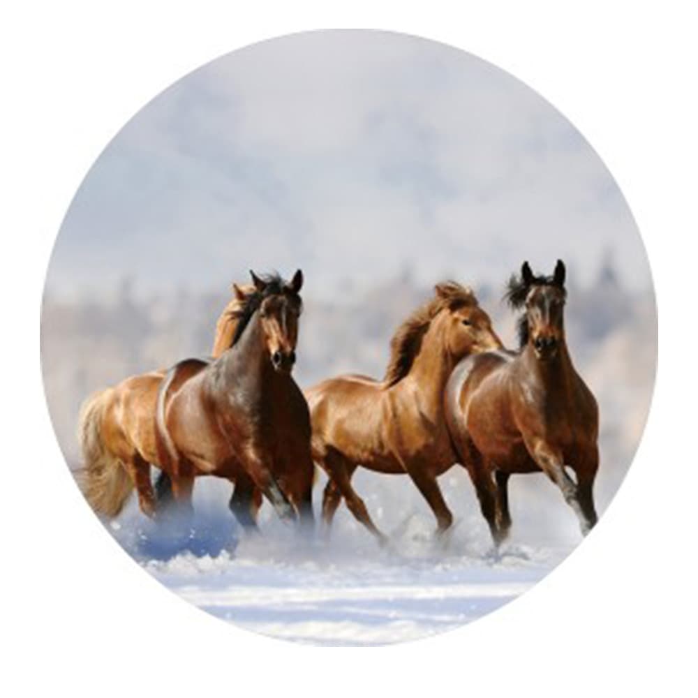 Gave Special Paarden glasplaat
