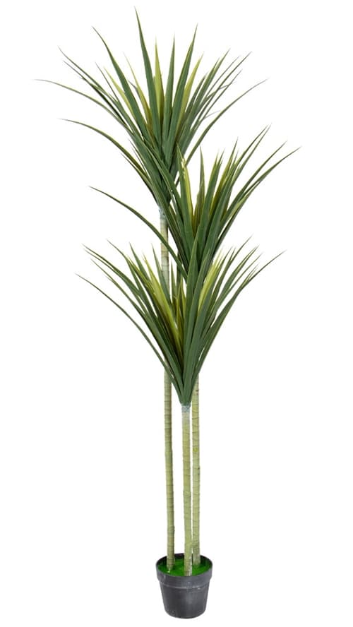 Artificial three-trunk palm tree 160 cm high - Dracaena Marginata palm