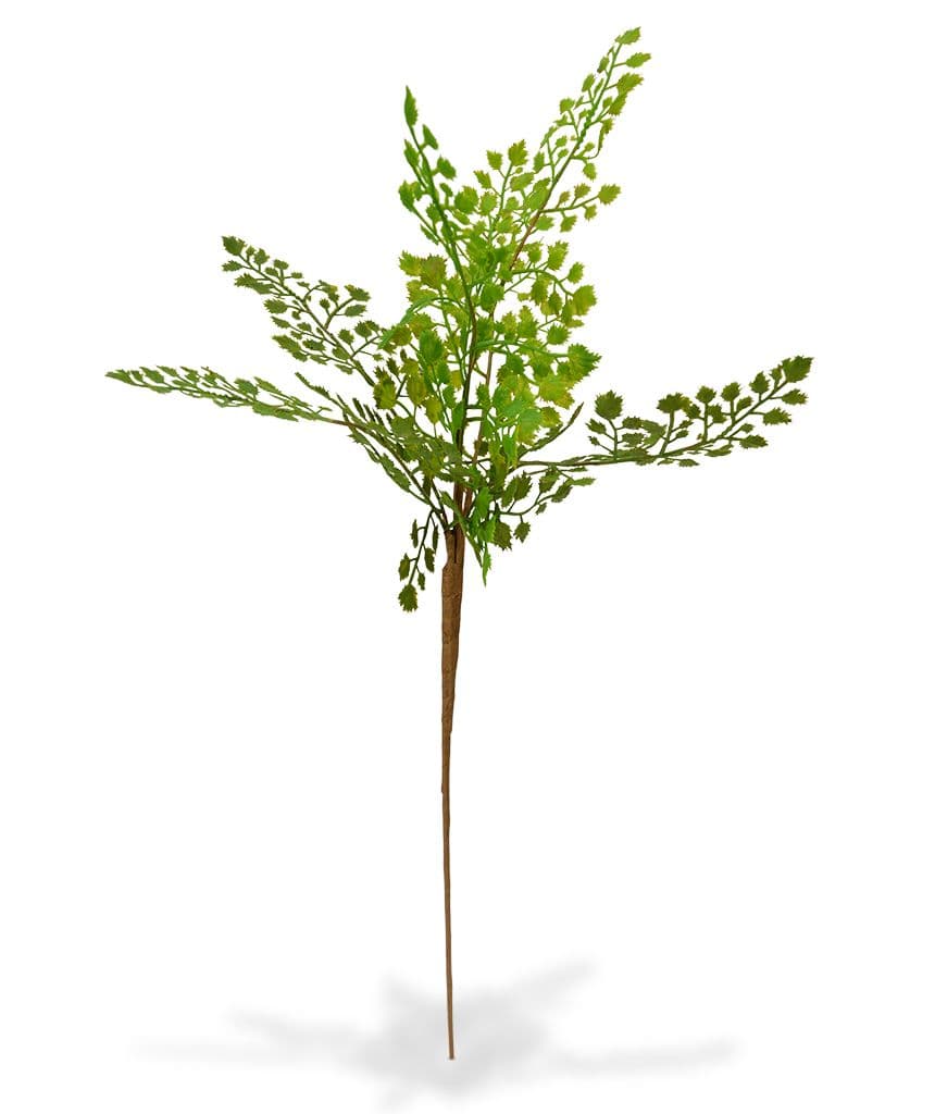 Adiantum kunsttak PL 50 cm
