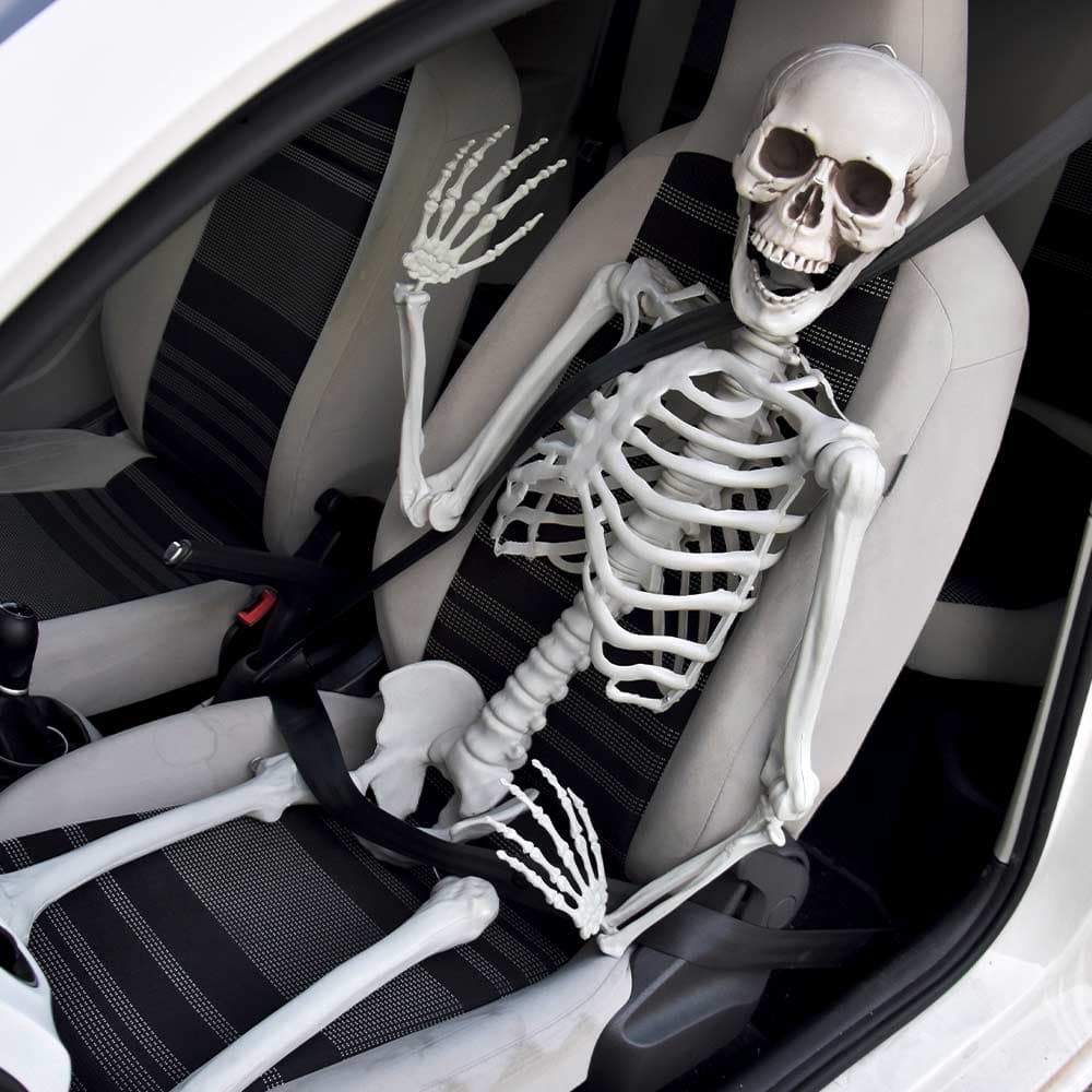 Life Size Skeleton - 170 cm - Human Size - Halloween Skelet