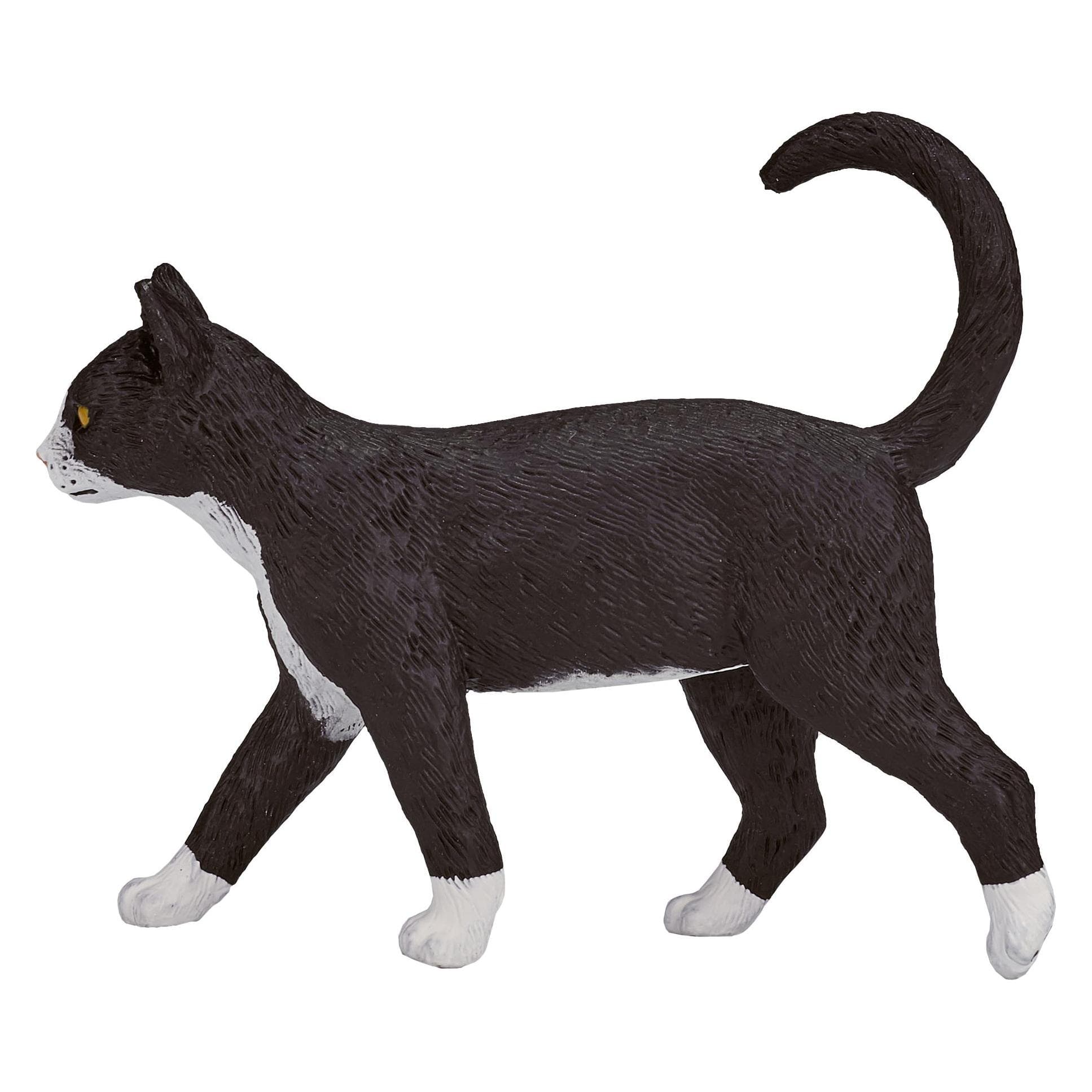 Mojo Kat