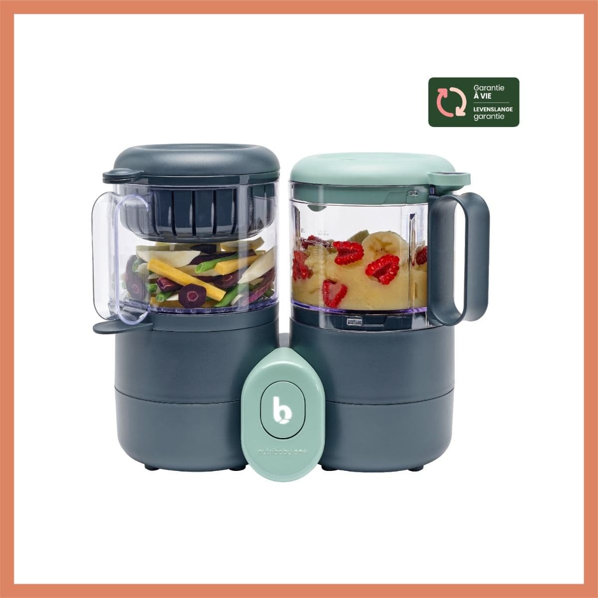 Keukenmachine Babymoov Nutribaby One